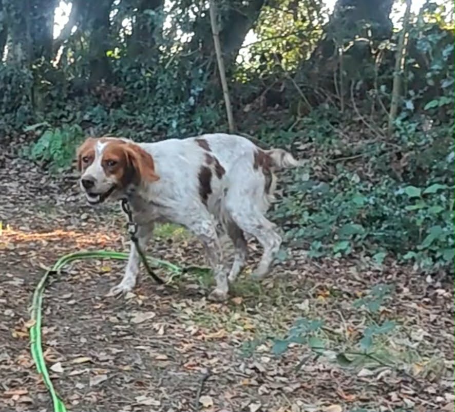 8a98ce81-1197-41e0-b7d2-d825a6bd5414